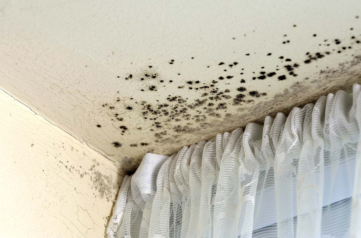 Respirare muffa in camera da letto? attenzione alla salute Muffa su pareti